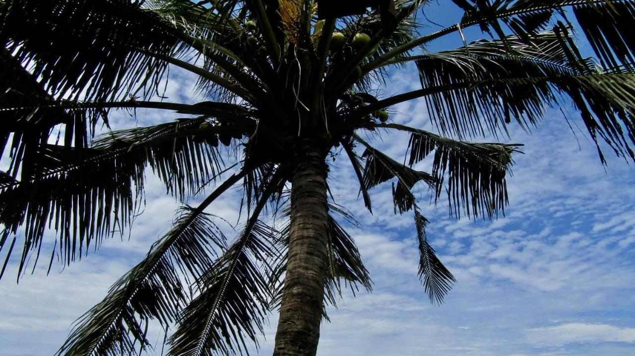 Dikaloha Surfschool And Stay Airsatang Zewnętrze zdjęcie