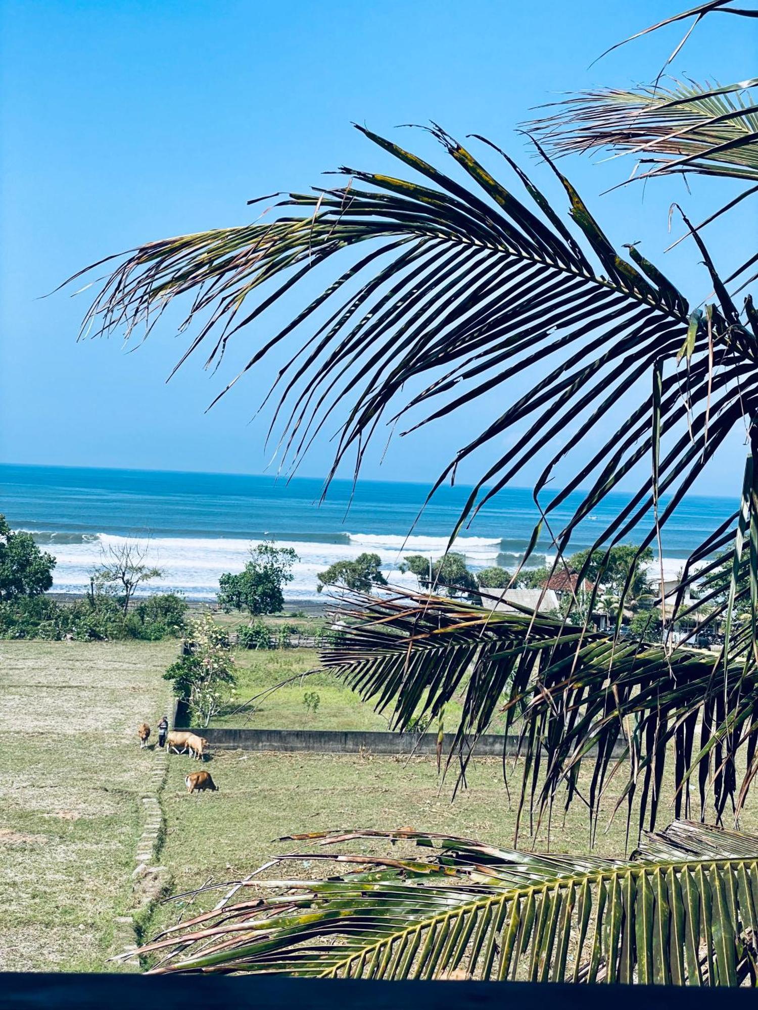 Dikaloha Surfschool And Stay Airsatang Zewnętrze zdjęcie